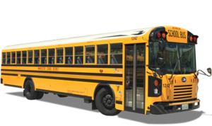 Bus Runs