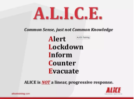 ALICE Crisis Training
