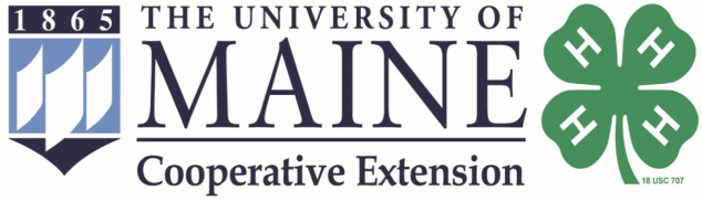 4h logo